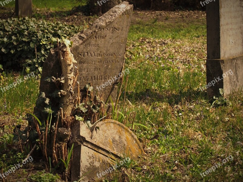 Cemetery Sorry Death Tombstone Han