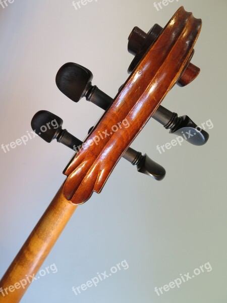 Cello Musical Instrument Stringed Instrument Classic Music