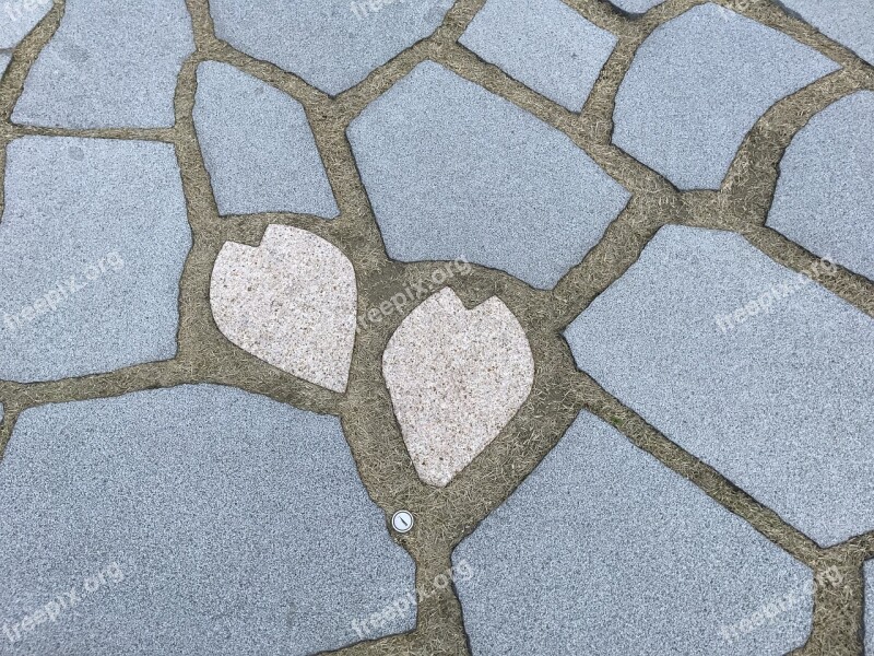 Kioicho Garden Cherry Blossoms Pavement Free Photos