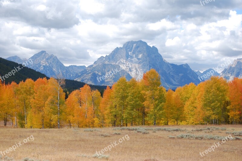 Aspen Storm Mountains Yellowstone National