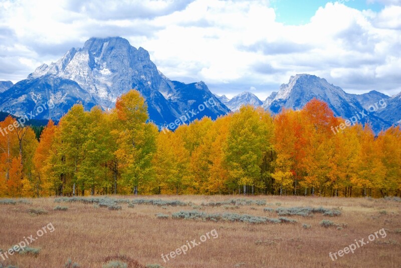 Aspen Storm Mountains Yellowstone National