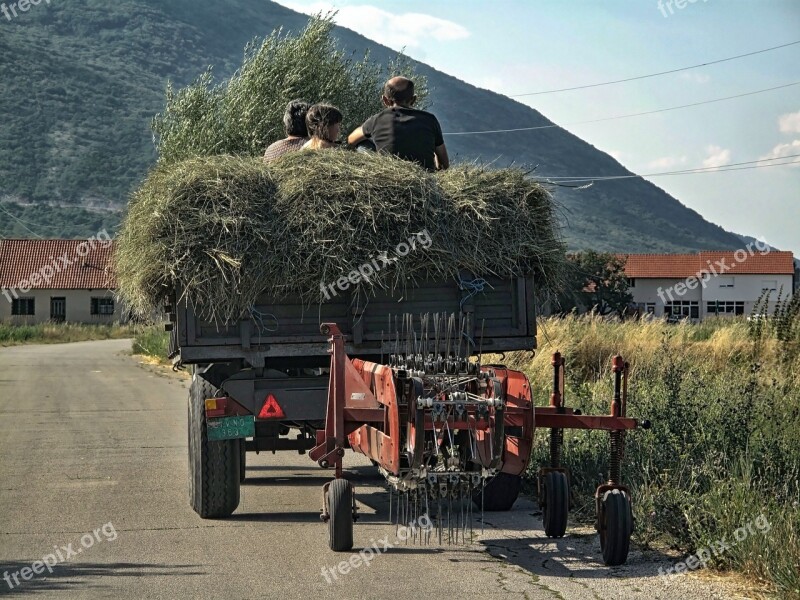 Rural Nature Countryside Outdoor Agriculture