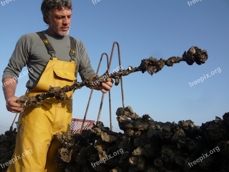 Man Oyster Fisher Fisherman Collector