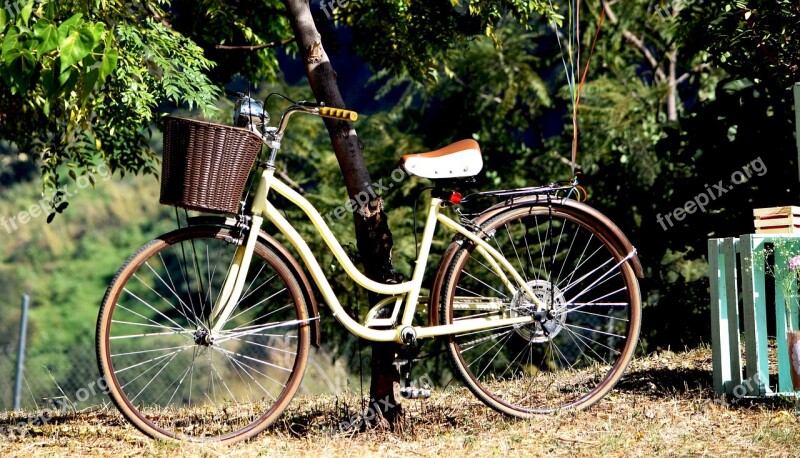 Bicycle Old Communion Free Photos