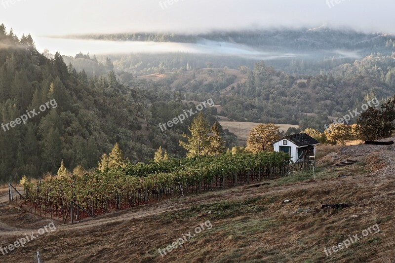 Winery Wine Sonoma California Wineglass