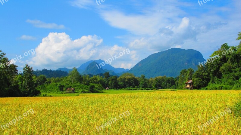 Country Side Laos Field Nature Farm