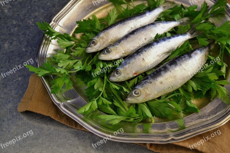 Sardines Fresh Fish Fish Parsley Plated