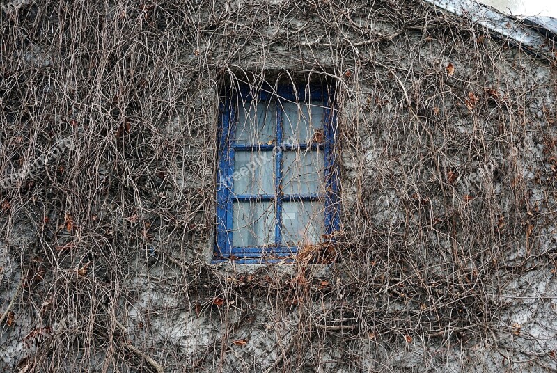 Window House Wall Facade Old House