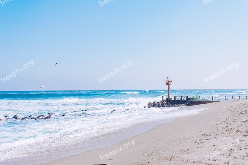 Sea Gangneung Winter Sea Winter Free Photos