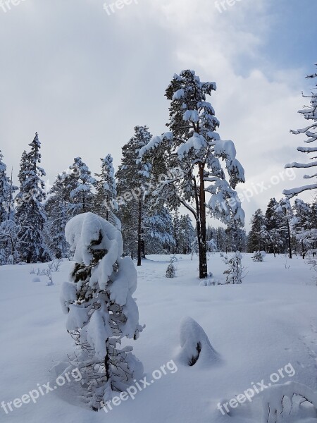 Winter Landscape Winter Landscapes Norway Scandinavia