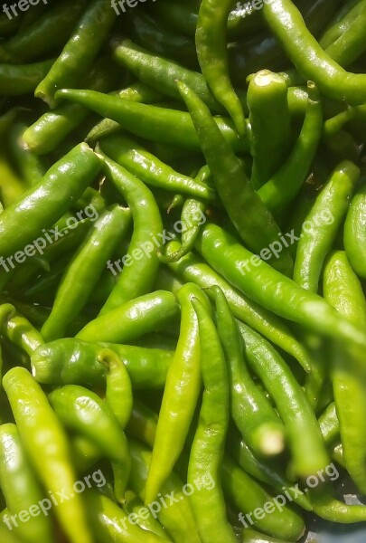 Chilli Vegetables Green Free Photos