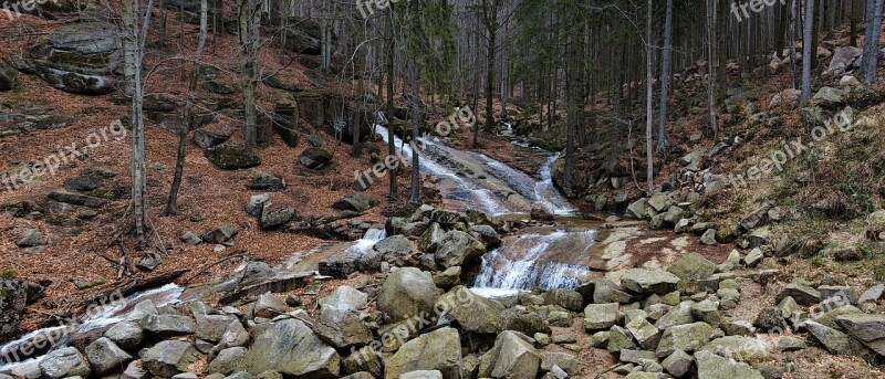 Stream Jizera Mountains Water Free Photos