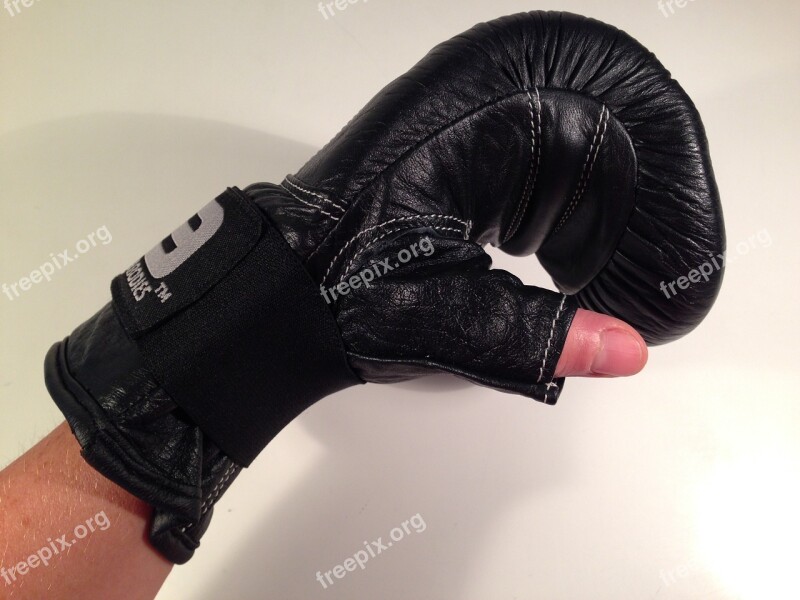 Boxing Glove Kind Uppercut Free Photos