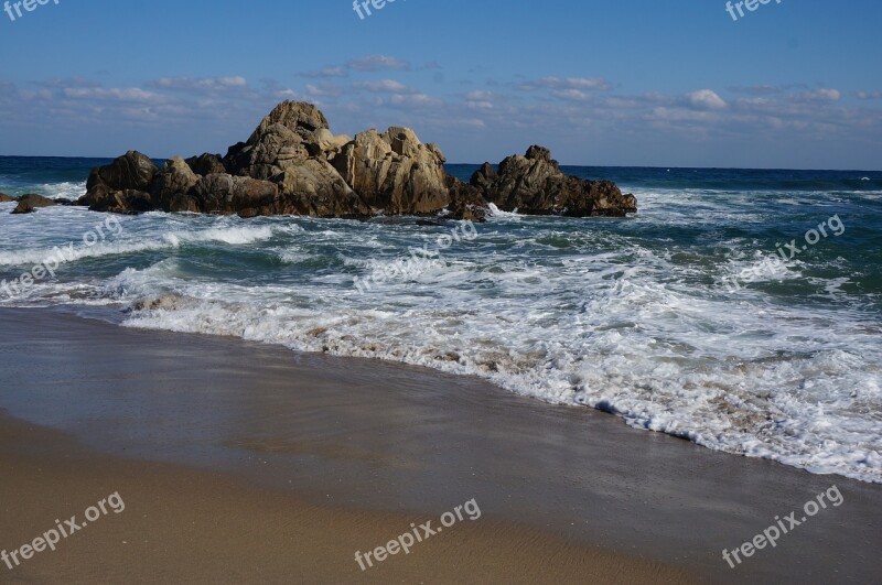 Waves Storm Foam Sea Gangwon Do