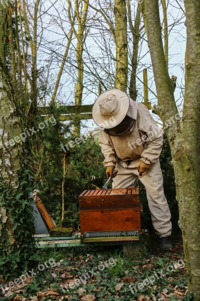 Beekeeper Honey Hive Bees Nature