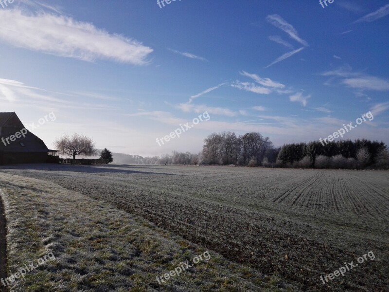 Hoarfrost Blue Sky Field Trees Free Photos