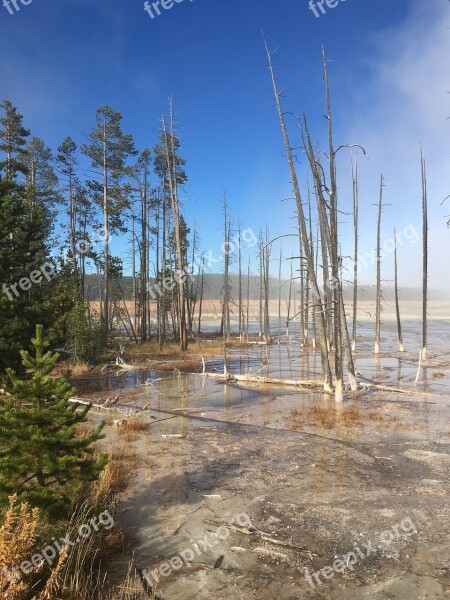 Yellowstone National Park Wyoming Nature