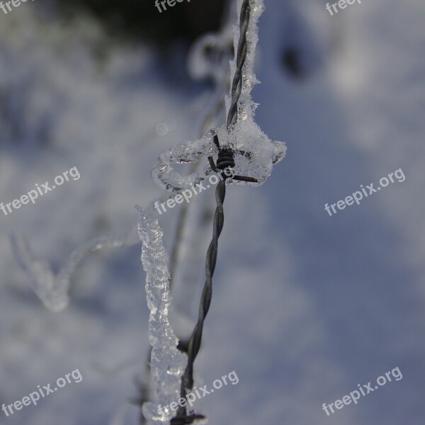 Barbed Wire Covered In Ice Winter Barbed Wire Hoarfrost Fence