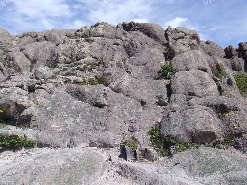 Newfoundland Rocks Rugged Free Photos