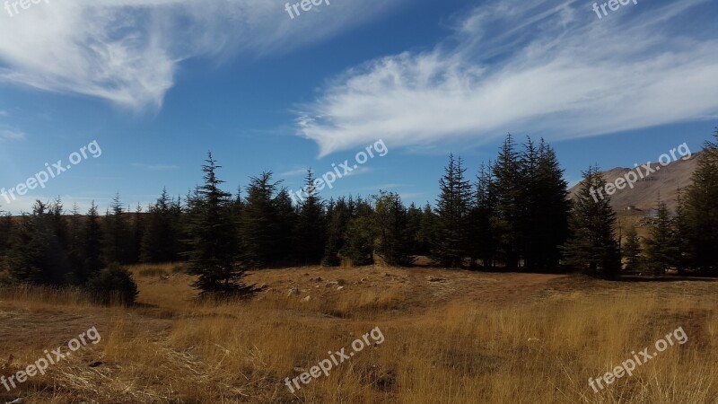 Sky Blue Clouds Nature Blue Sky