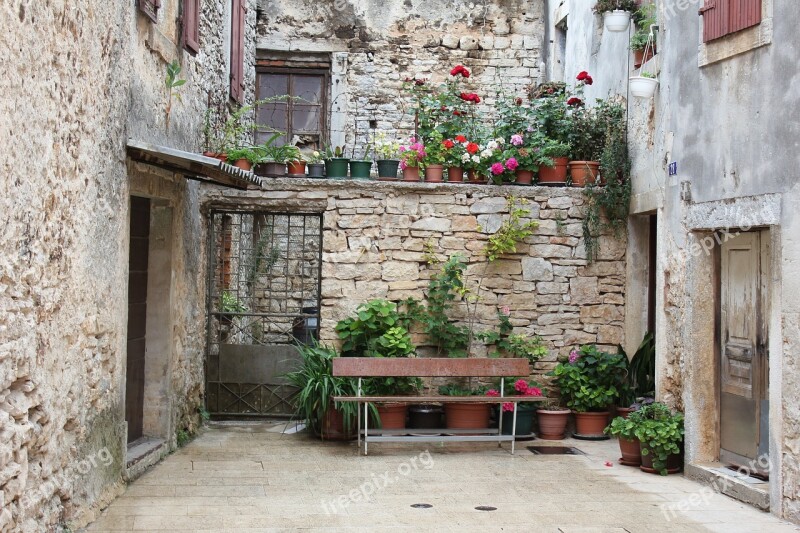 Croatia Bank Flowers Backyard Planters