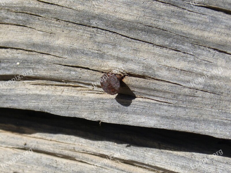 Nail Old Wood Rusty Old Free Photos