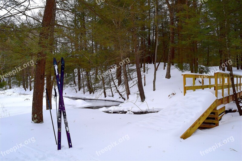 Winter Snow Cross Country Ski Bridge Trees