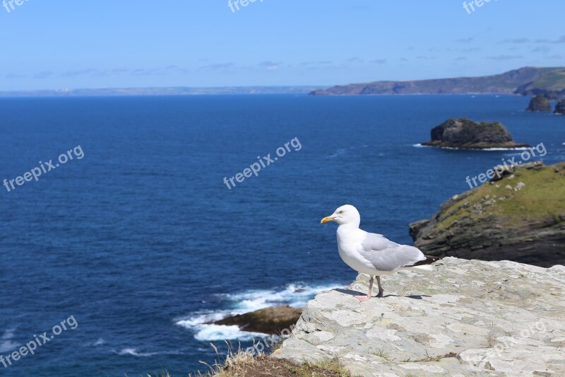 Cornwall Tintagel Coast Uk England