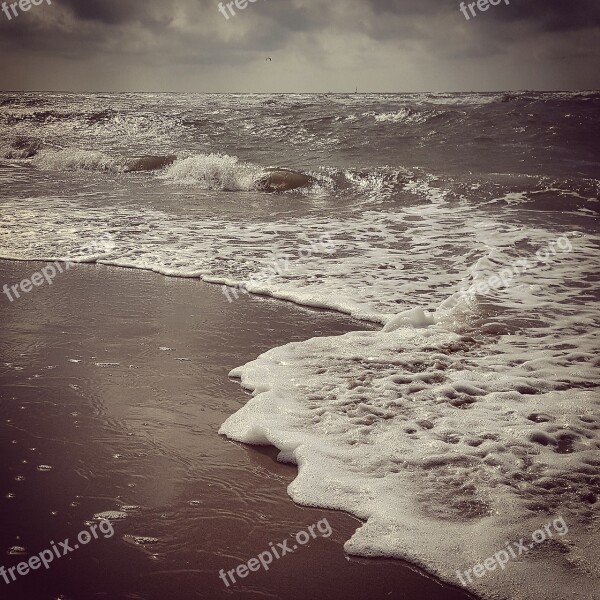 Sea Beach Kijkduin Coast Foam