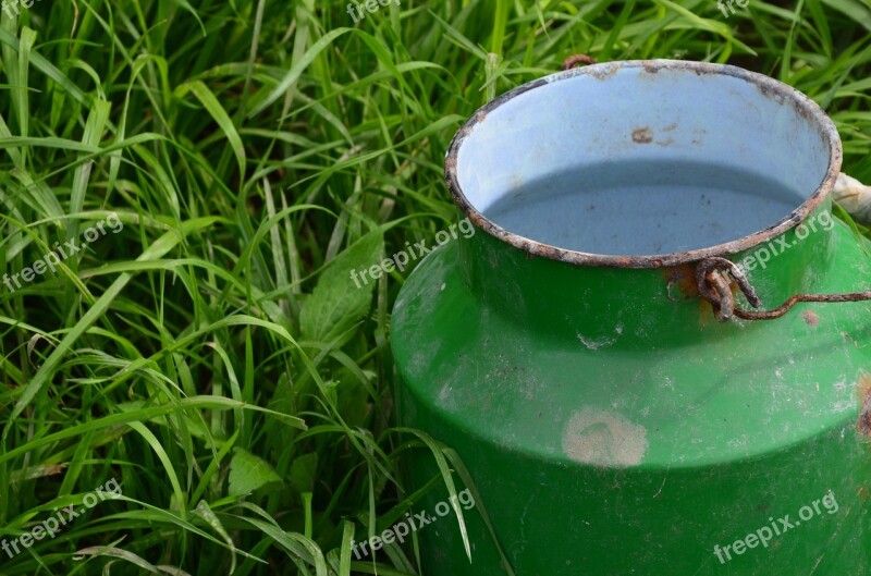 Bucket Milking Milk Farm Dairy