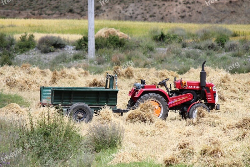 Harvest Tractor Ye Tian Country In Rice Field