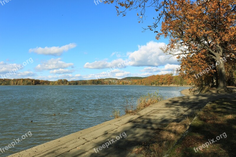 Bank Trees Walk Autumn Fall Leaves