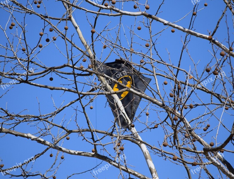 Kite In Tree Kite Tree Batman Kite Kite-eating Tree