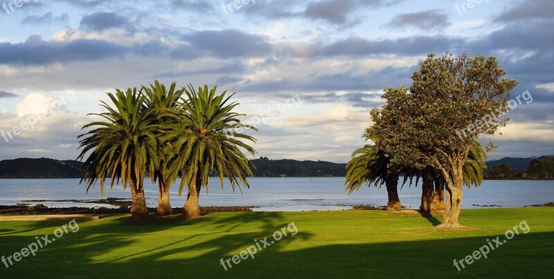 Bay Of Islands New Zealand North Island Palm Trees Sky