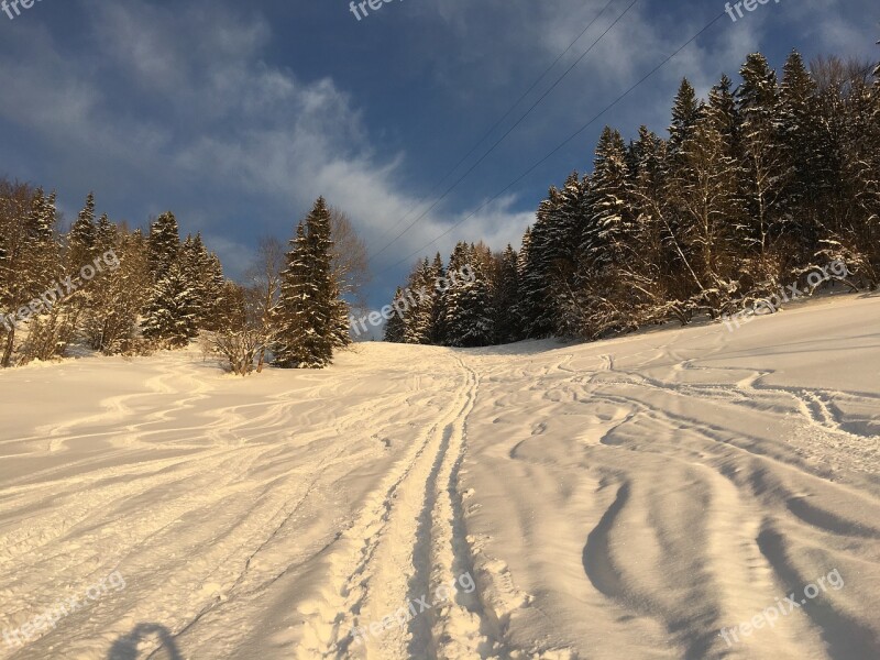 Snow Backcountry Skiiing Mountains Liezen Spruce