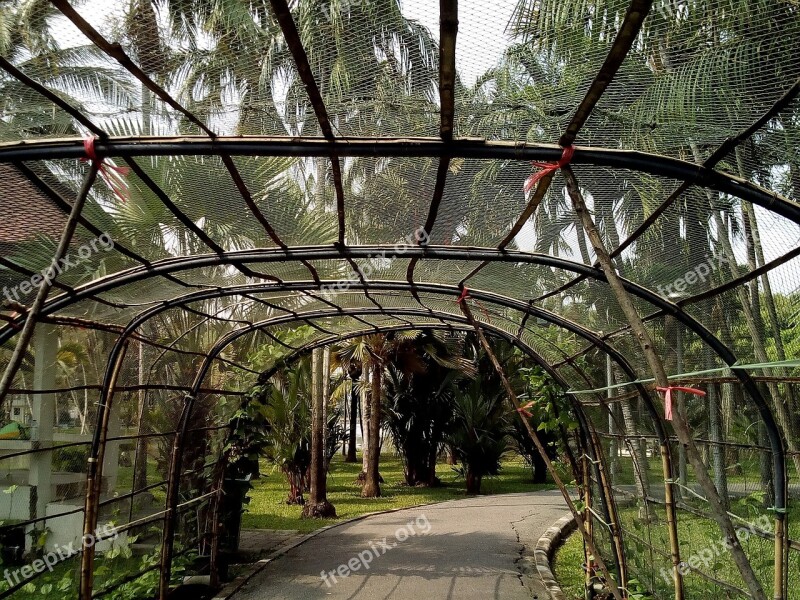 Bower Passage Pass Through Garden Cropping