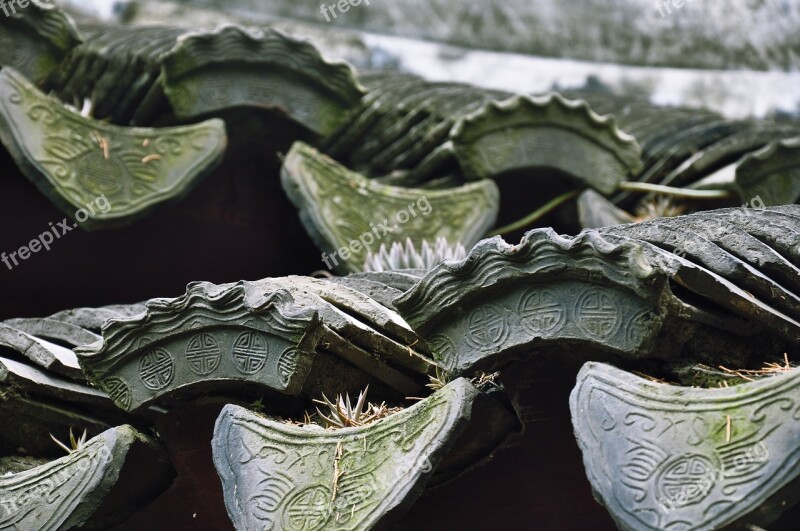 Tiles Green Plants Dripping Free Photos