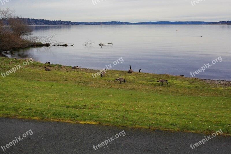 Lake Washington Northwest Nature Landscape