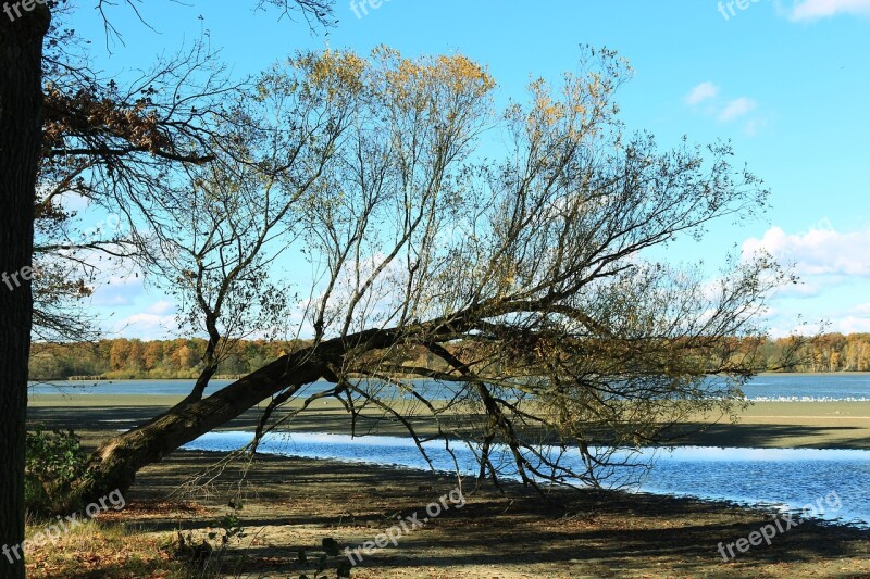 Bank Pond Tree Kahl Autumn