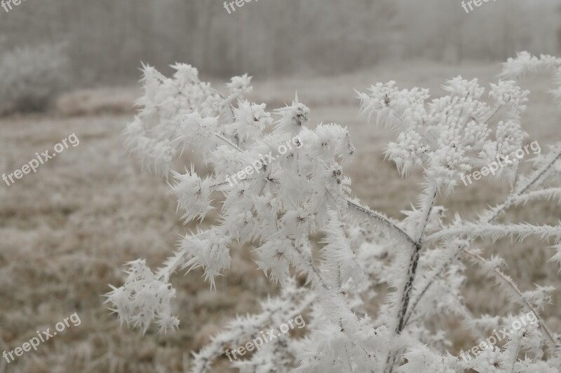 Winter Wintry Eiskristalle Cold Hoarfrost