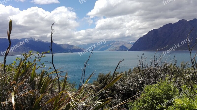 New Zealand South Island Nature Ocean Landscapes