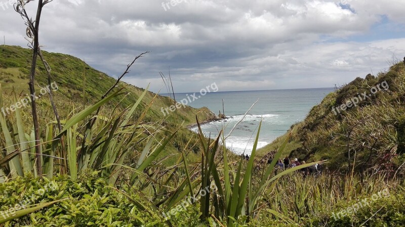 New Zealand South Island Nature Ocean Landscapes