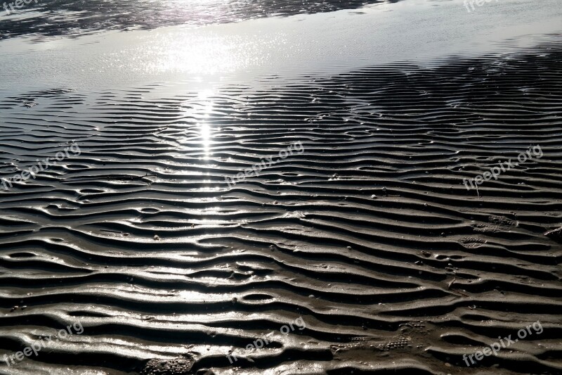 Sandy Beach Dunes By The Sea North Sea Free Photos