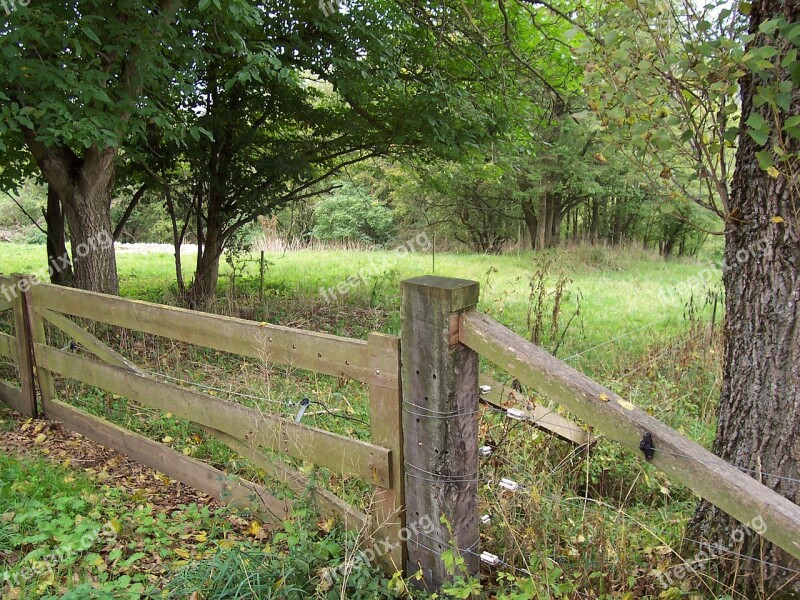 Heidenheim Germany Wood Fence Forest Free Photos