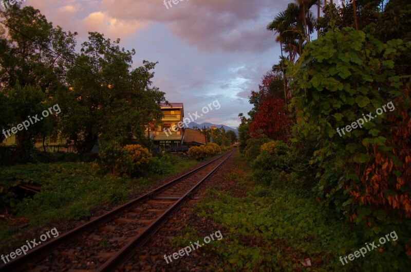 Train Railway Taiwan Rural Country Landscape