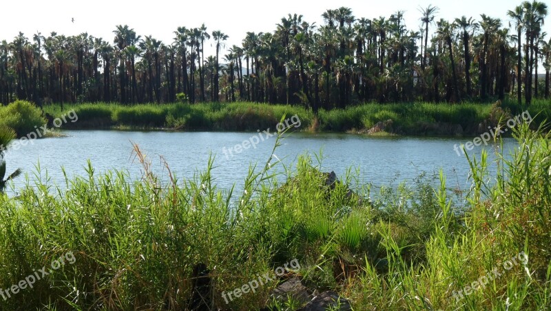 Oasis Baja California Sur San Ignacio Mexico Landscape