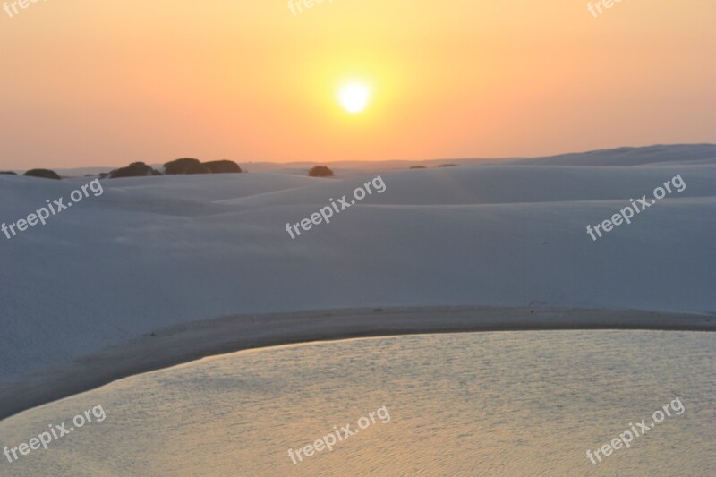 Brazilwood Dune Sand Travel Wild