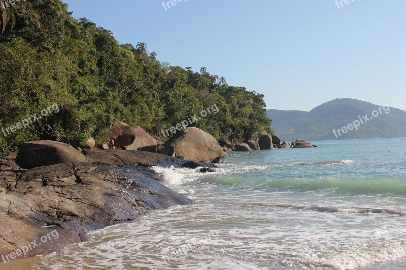 Beach Brazilwood Holiday Sun Landscape