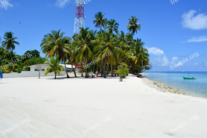 Baa Dharavandhoo Maldives Beach Palm Trees