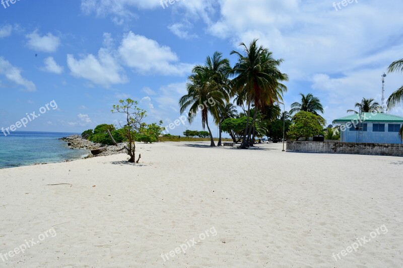 Palm Tree Beach Baa Dharavandhoo Maldives